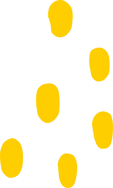 Formas de semillitas